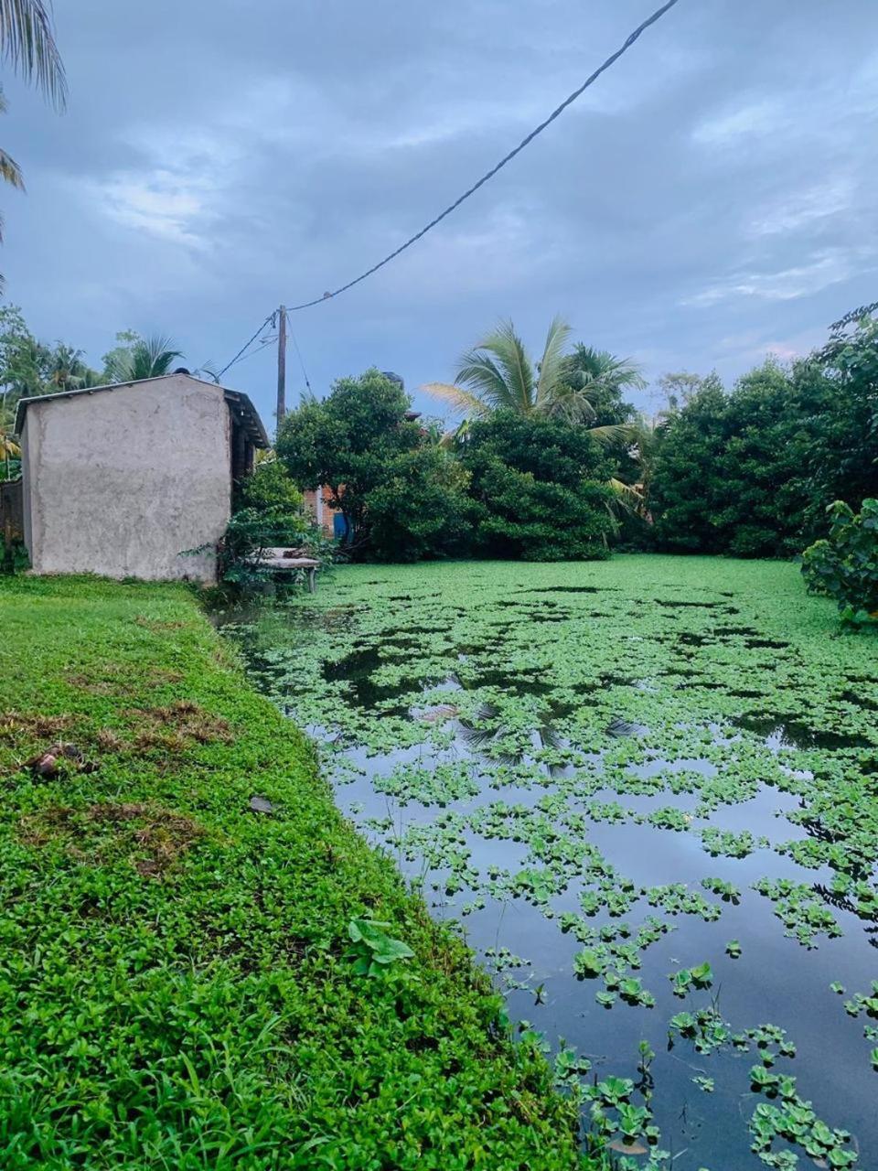 Ashok Villa Weligama Exterior photo